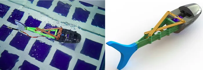 Design and control of soft biomimetic pangasius fish robot using fin ray effect and reinforcement learning